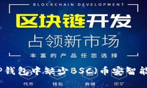 如何解决TP钱包中缺少BSC（币安智能链）的问题