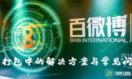 TP显示打包中的解决方案与常见问题解析